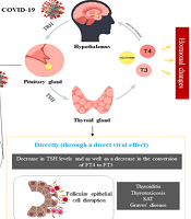 Int J Endocrinol Metab